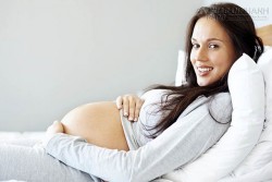 Củ tam thất bắc và 9 câu hỏi được quan tâm nhất