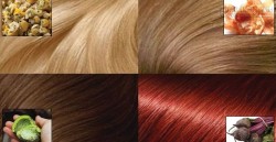 Cách nhuộm tóc lên màu tự nhiên không cần dùng hóa chất