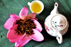 10 bài trà dược tăng cường sức khỏe