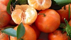 Dấu hiệu nhận biết cam canh ta và cam Trung Quốc