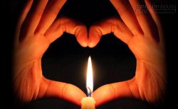 Quà tặng cuộc sống Câu chuyện về cái bẫy chuột