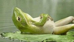 Câu chuyện về một chú ếch trong nồi nước và bài học nổi tiếng về sự thay đổi