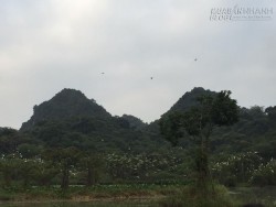 Thung Nham - nơi hàng nghìn cánh chim trú ngụ