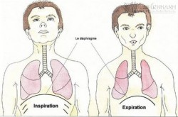 Bài tập thở để đời giúp sống thọ, sống khỏe