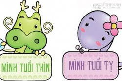 Giải Mã Bí Ẩn 6 Cặp Đôi Con Giáp Qua Lời Truyền Thụ Sâu Xa Của Người Xưa