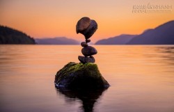 Quy tắc cân bằng hoàn hảo tồn tại trong sinh mệnh con người