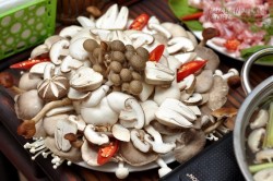 Điều phải biết khi sử dụng nấm ăn lẩu để không hại sức khỏe