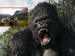 Cận cảnh vùng đất tiên ở Việt Nam quay King Kong 2