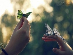 Con số may mắn của 12 cung hoàng đạo năm 2016