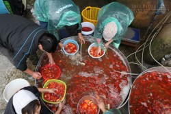 Ảnh: Đỏ rực chợ ông Công ông Táo lớn nhất HN