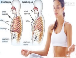 Đừng tốn tiền mua thuốc, tập thở sâu giúp phổi sạch và sống lâu hơn