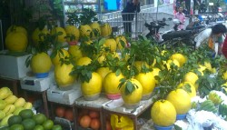 Bòng khổng lồ giá 1,5 triệu đắt khách dịp Tết