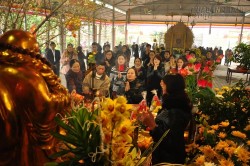 Những điều kiêng kỵ đi chùa hái lộc đầu xuân