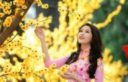 Hái lộc đầu năm thế nào mới đúng?