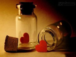 Tử vi 12 Con giáp thứ bảy ngày 06/02/2016