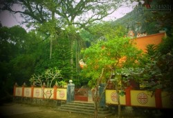Chiêm ngưỡng làng cổ nghìn năm tuổi ẩn mình giữa xứ Thanh