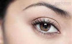 Xem tướng luận vận mệnh người có đôi mắt Phượng