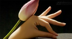 Mẹo hóa hung thành cát cho tướng tay không đẹp