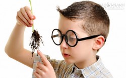 Nhận diện tướng người thông minh