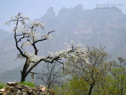 Sửng sốt với vẻ đẹp của ngôi làng ở chín tầng mây ở Trung Quốc