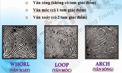 Vân tay nói lên điều gì về tính cách của bạn?