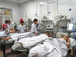 Rượu Tết đưa gần 2000 người nhập viện vì ngộ độc