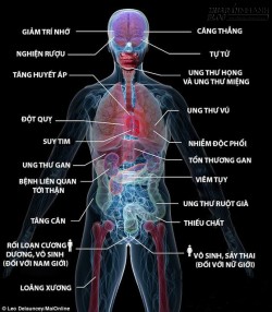 20 điều kinh khủng xảy ra khi bạn chỉ uống thêm 1 chén rượu