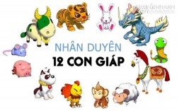 Những cặp con giáp sinh ra đã là một cặp