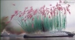 Màn bắn pháo hoa giữa ban ngày đẹp nhất thế giới