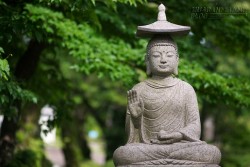 Oán hận người khác thực ra là đang cầm tù chính bản thân mình