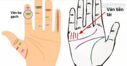 Nếu bạn có đường vân tay này thì sẽ không bao giờ thiếu tiền