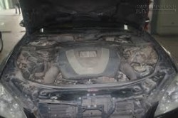 Người phụ nữ chết lặng phát hiện sự thật âm thanh lạ trên mui xe của mình