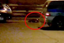 Người phụ nữ nằm trong túi xác một tiếng rồi đột ngột hồi sinh