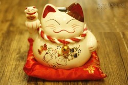 Làm thế nào để mèo Thần Tài hút càng nhiều tiền bạc?