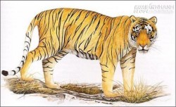 10 Thứ Có Thể Xua Đuổi Khiến Ma Quỷ Sợ Hãi Bỏ Xa