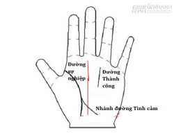 Đoán khả năng nhảy việc qua đường chỉ tay Sự nghiệp (P1)