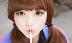 Top 3 con giáp là cao thủ giả nai nhất trong 12 con giáp