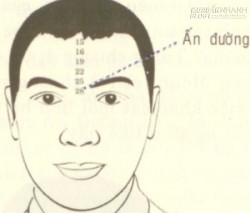 Vận số qua khoảng cách 2 đầu lông mày