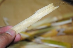 Mẹ khiến con sốt cả tháng trời không vì nguyên do này