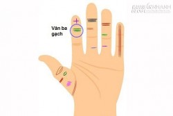 Cả đời không nghèo nếu bạn sở hữu 4 đường vân tay này