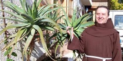 Vị linh mục cứu hàng ngàn người ung thư từ bài thuốc lô hội và mật ong