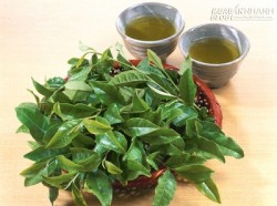 Chữa đau lưng bằng 5 phương pháp tự nhiên không tái phát