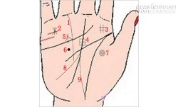 Những đường vân tay dễ có tiền bạc