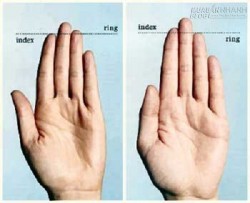 Tìm hiểu mối liên hệ giữa các ngón tay trong xem bói