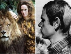 Cái giá phải trả của ngôi sao điện ảnh nuôi sư tử trong 40 năm