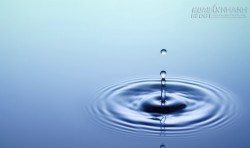 Đứng trước mỗi việc nhất định cần phải có tĩnh khí