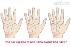 Số lượng đường hôn nhân trên bàn tay cho biết mức độ hạnh phúc của chủ nhân