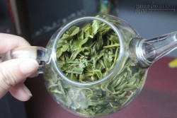 Bạn sẽ không bao giờ vứt bã trà sau khi đọc xong bài này