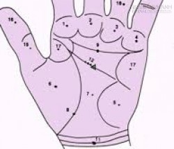 17 vị trí nốt ruồi trong lòng bàn tay nói lên điều gì
