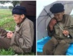 Xót thương cụ ông mất trí lang thang dầm mưa dãi nắng coi đồng ruộng như nhà